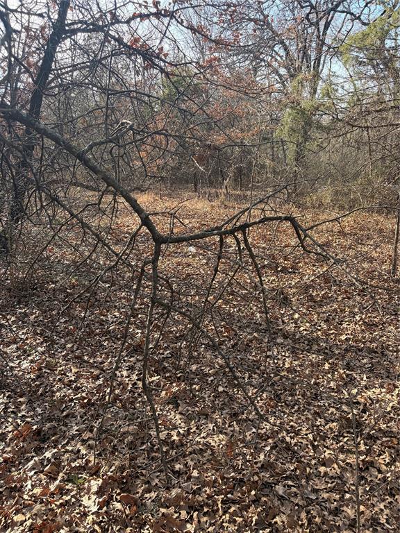 9421 San Leon Avenue