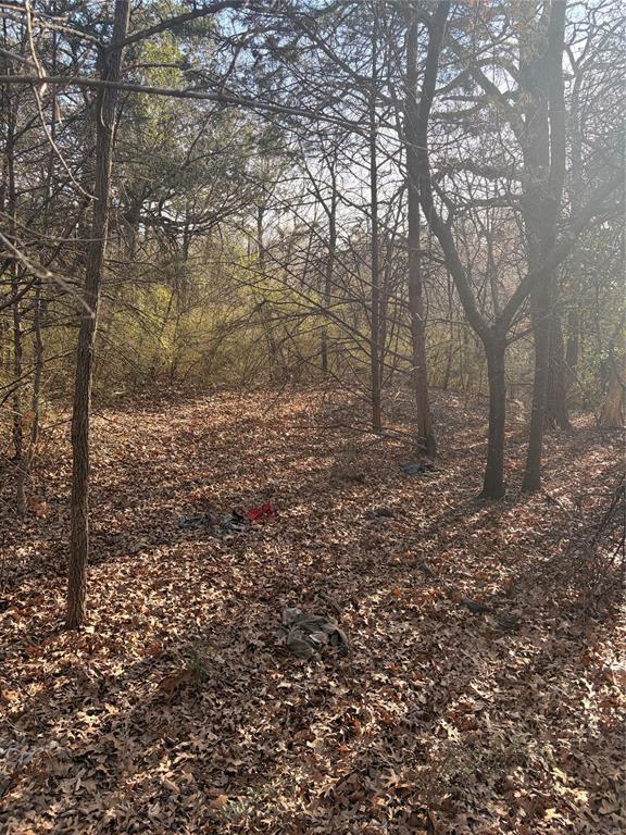 9421 San Leon Avenue