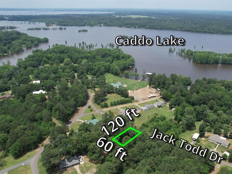 Owner financing available. 0.1716 acre, wooded lot with views of Caddo Lake. 60' steet frontage with a gentle upward slope. Electric & water available at street. Septic system required. Outside city limits for a 'Single Family Residential’ custom build. This property is not in a flood zone. Vacant land:  Showings 24-7. Please schedule through Broker Bay for auto confirm.