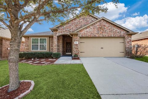 1217 Lambert Drive Princeton TX 75407