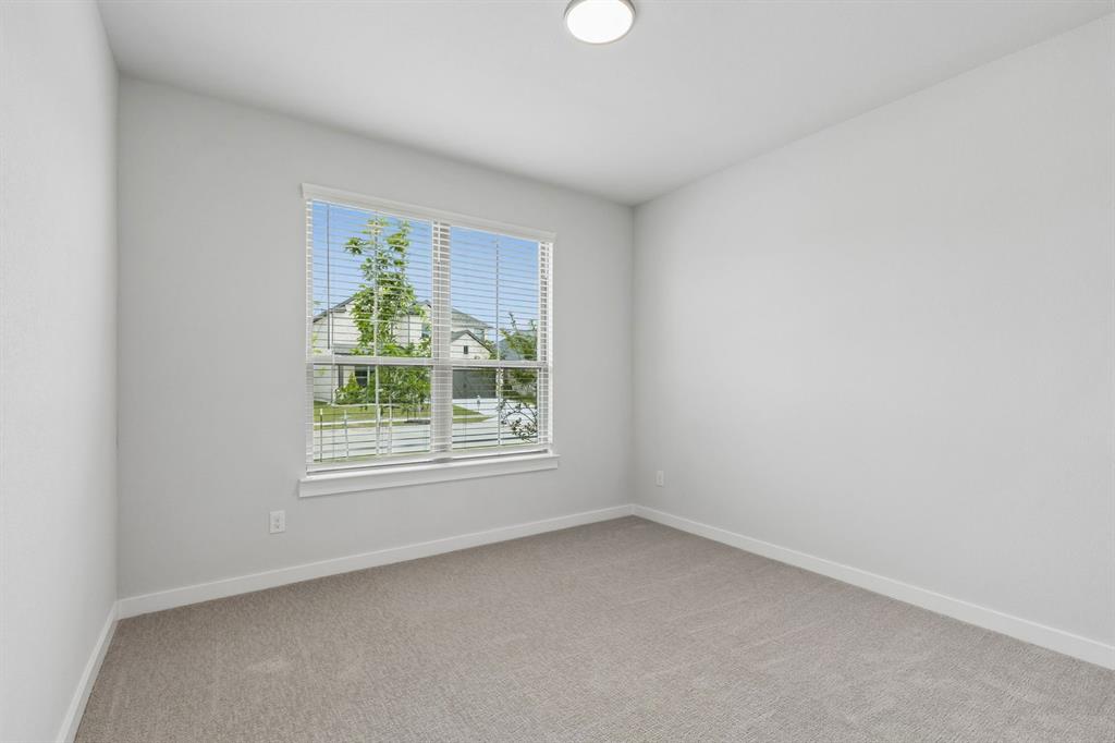 Painted Tree - Residential