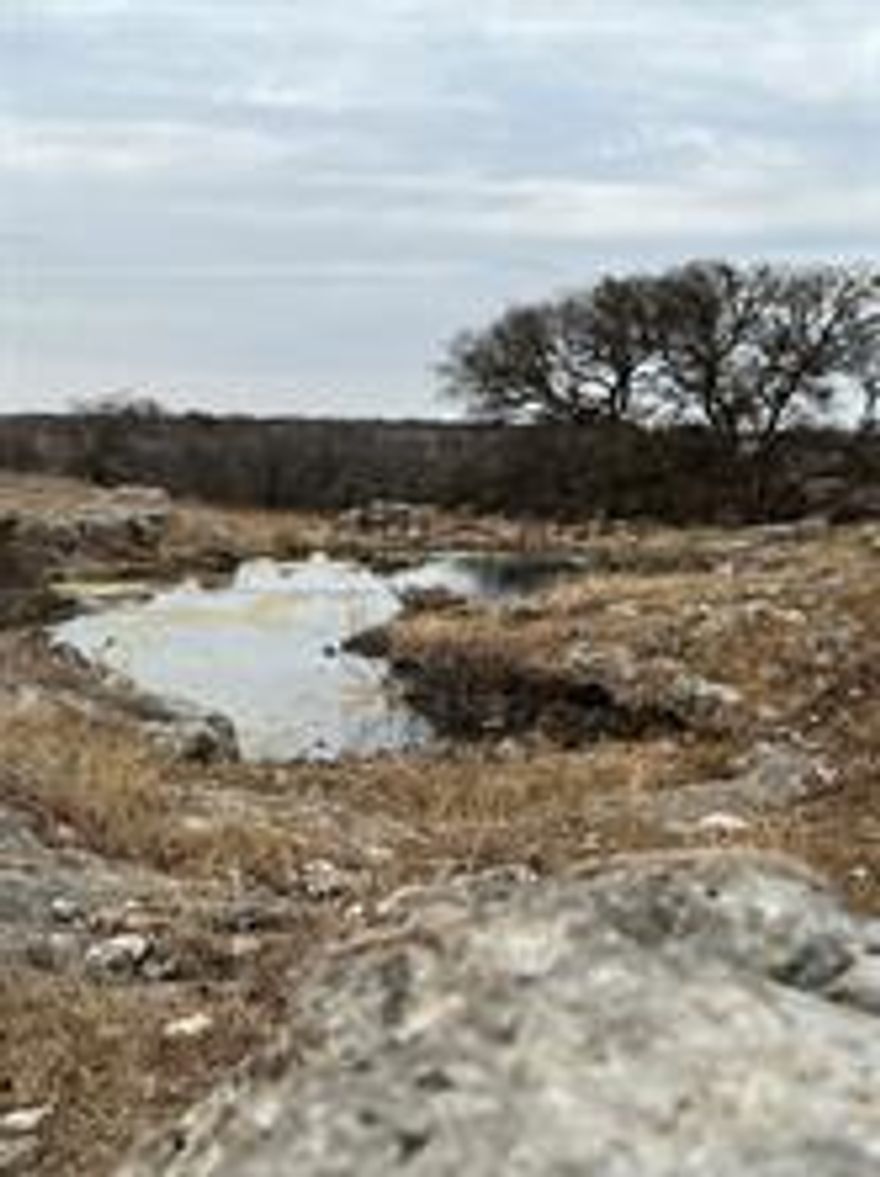 This 456 acre tract is the headquarters of the Ohlenbusch Ranch. In 1951 Earnest and Martha Ohlenbusch sold their cotton farm and cotton gin in Brooksmith, TX and purchased 1500 acres on FM 2005 in Hamilton County. The original office at the gin was kept in tact and moved to the ranch and much of the material used to build the barns was reclaimed from the Cotton Gin. This is an all native grass ranch with big rolling hills dotted with large Oak trees and brushy draws. There is a natural spring in the center of the ranch providing a constant water
source. The ranch is fenced into  three separate pastures leading into a large trap and working pens. The ranch also offers very good hunting for whitetail and more!