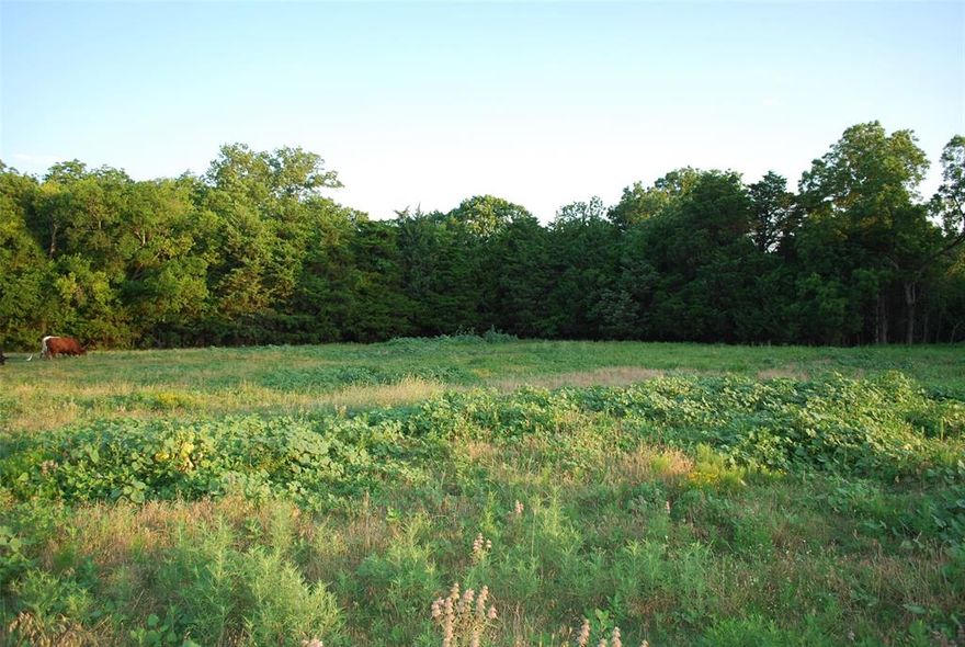 Looking for the perfect place to build your forever home? Welcome to Le Ruisseau in Heath TX. Le Ruisseau covers a total of 43 acres that has been subdivided into 17 spectacular home locations at a price point per acre under 200,000. This lot is 2 Acre and sits just a half mile from beautiful Lake Ray Hubbard. This property provides you with a rare opportunity to settle in a very tranquil location and still be just steps away from numerous outdoor activities. Whether you’re boating, fishing, walking by the lake or simply having a picnic at the park it’s all at your fingertips. Le Ruisseau is conveniently located to shopping, dining, entertainment, and excellent schools making this location truly one of kind in Heath.