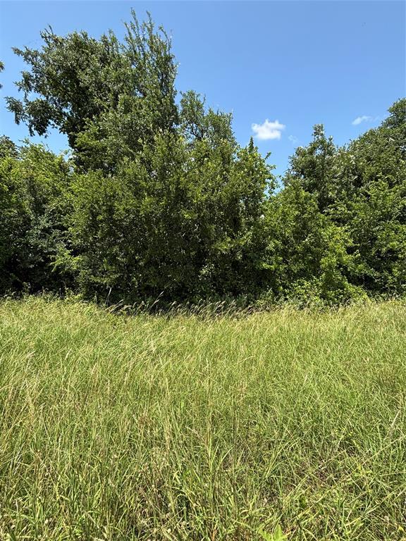 Lot 3 Chisholm Trail