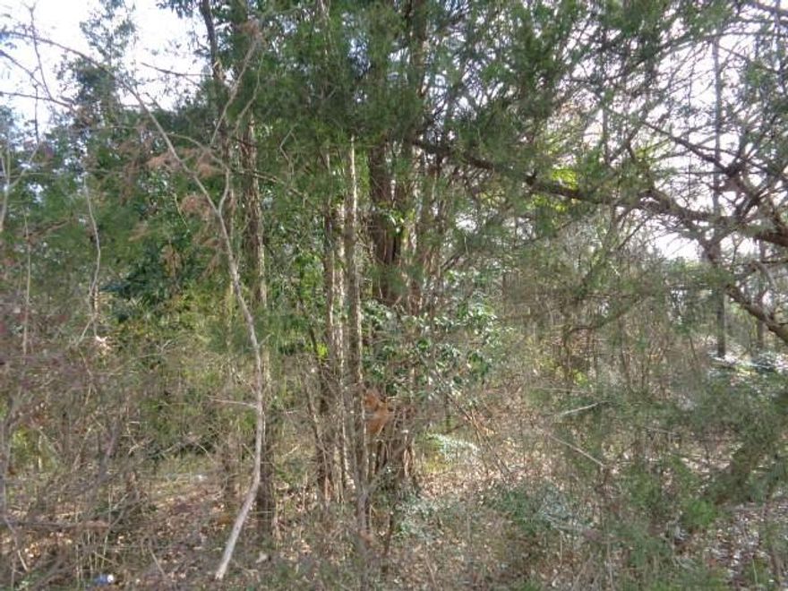 6.77 Waterfront acres on Lake Winnsboro. The property is all trees, there is leaseback from Wood County. This property wouldmake a great recreational area or a commercial property for subdivision or a business. Don't let this property get away from you,not many acres for sale on Lake Winnsboro. Great business opportunity.
ADDITIONAL PICTURES