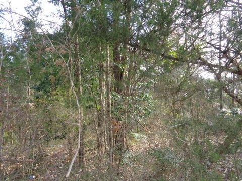 TBD CR 4870 Winnsboro TX 75494