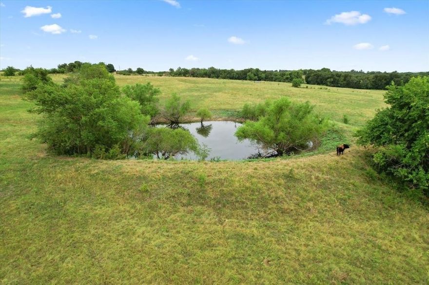 Rare opportunity to own 11 acres of ag-exempt land in highly sought after Van Alstyne ISD. This unimproved tract offers a beautiful setting with a pond and plenty of open space, making it ideal for building your dream home, starting a ranch, or holding as an investment. Enjoy the benefits of ag exemption along with peaceful country living, all while remaining conveniently located near major highways and nearby amenities.