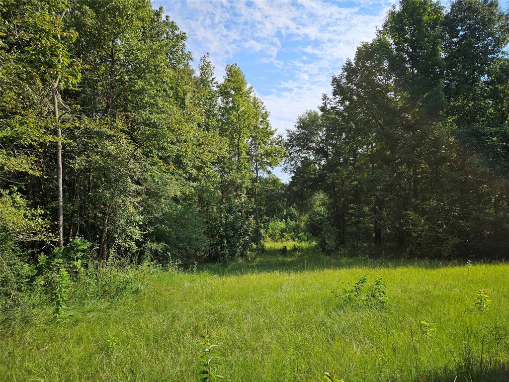 TBD South Co. Rd 4255