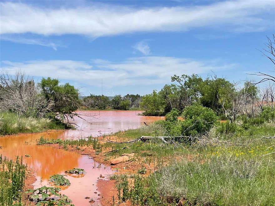 This 341.8 acre Mulberry Canyon ranch is located just 30 minutes from downtown Abilene.  As a hunter’s paradise, Mulberry Creek meanders throughout the property enhancing the wildlife habitat and natural beauty of the West Texas terrain.  It features county road access and is ideally suited for hunting, ranching, or recreational activities.  With two stock tanks, the ranch provides the necessary water sources for wildlife and livestock.  There are also multiple water meters available through Blair Water Supply and electricity is available as well.  Abundant deer and hog signs were seen on the ranch during inspection and this area is also well known for great dove hunting.  The ranch's topography varies from 2100 feet in the seasonal creek bed to 2160 feet on the southern edge, offering gently rolling hills and stunning views. Following a fire in 2019, the land has seen a resurgence of native grasses and new growth trees, while some areas of thick cedar and mesquite brush remain, creating a diverse habitat for local wildlife. This Mulberry Canyon ranch offers a desirable destination for those seeking a great hunting or recreational retreat!