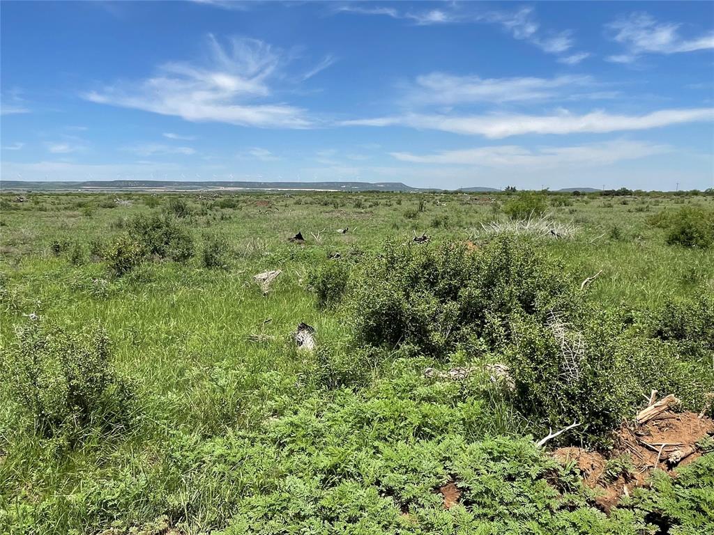 TBD County Road 343