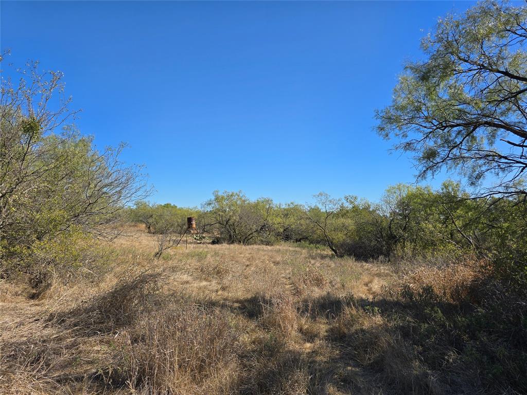 1343 County Road 188