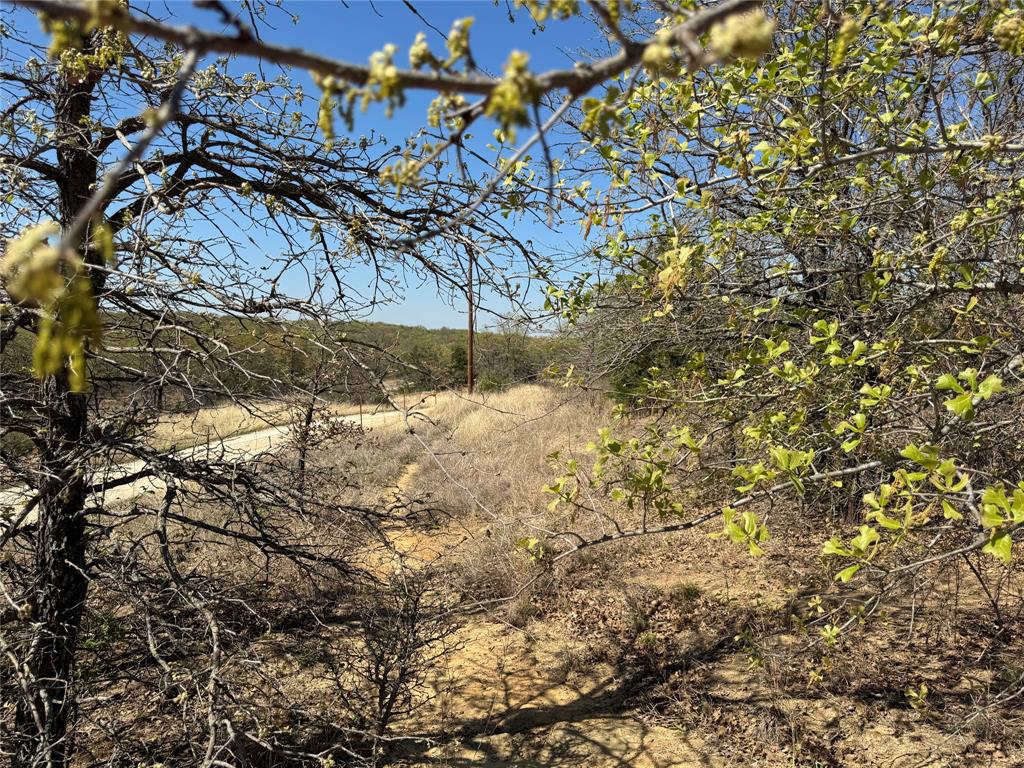 Kaufman - Land