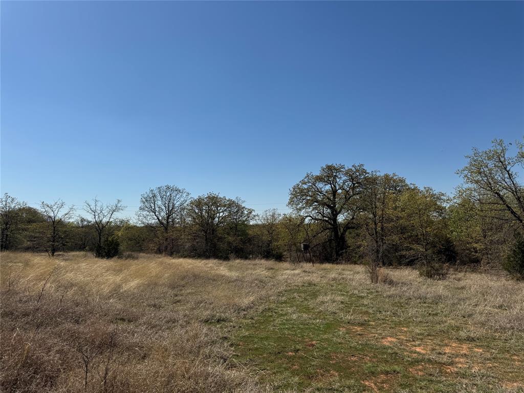 Kaufman - Land
