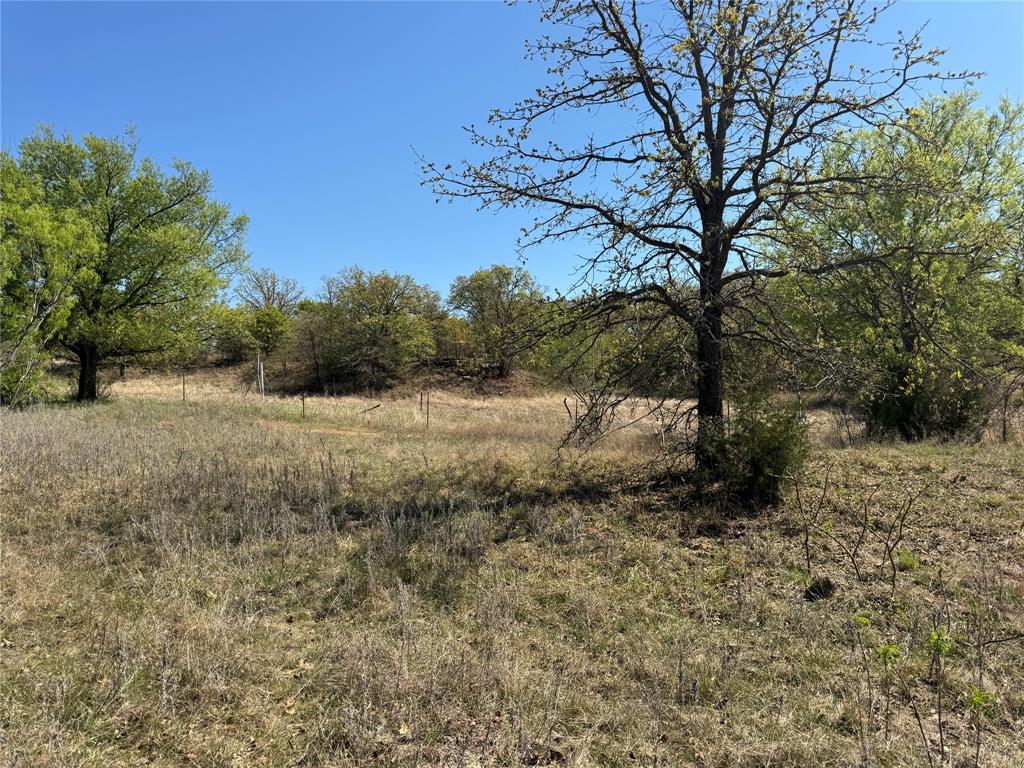 Kaufman - Land
