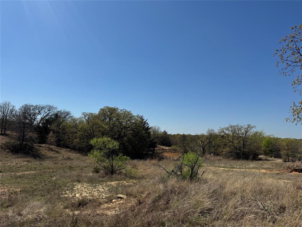 Kaufman - Land
