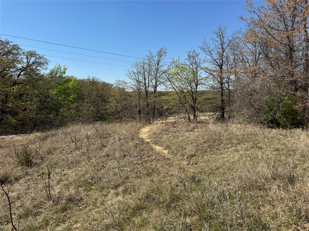 Kaufman - Land