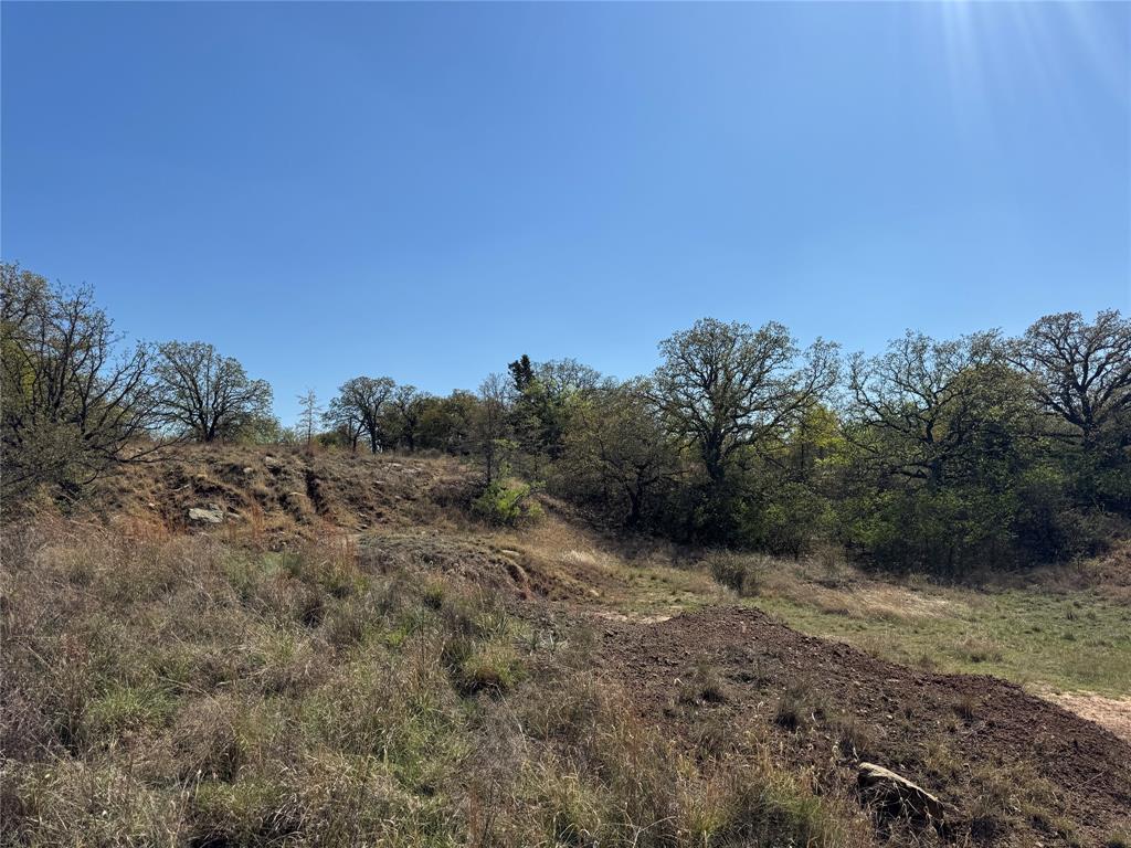 Kaufman - Land