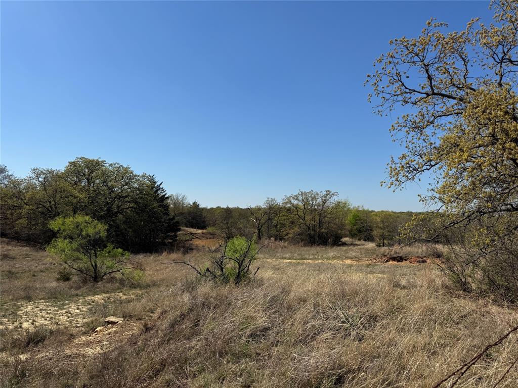 Kaufman - Land