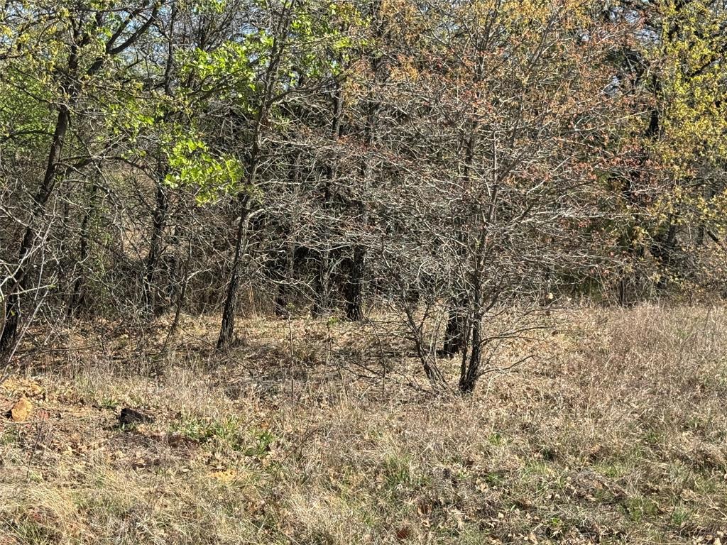 Kaufman - Land