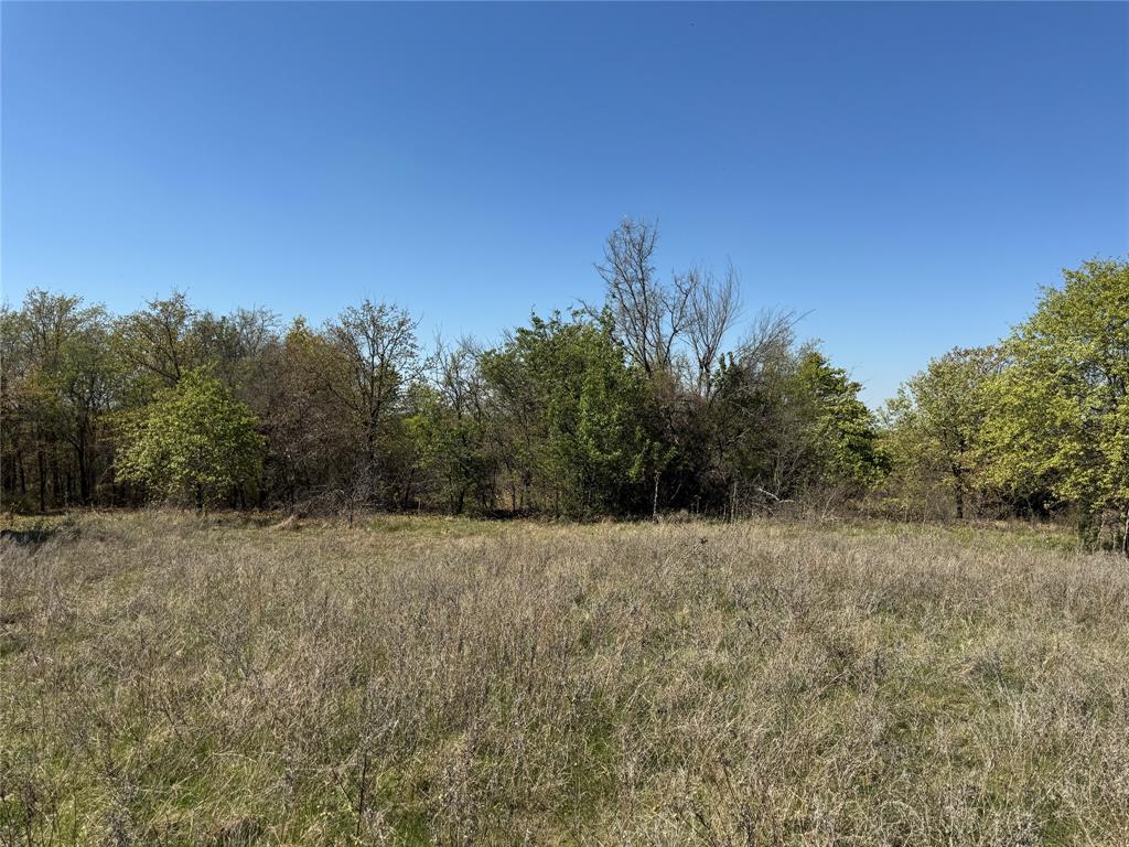 Kaufman - Land