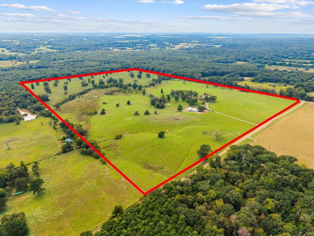 11990 County Road 3513