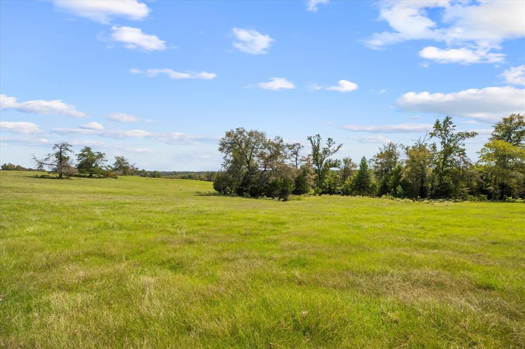 11990 County Road 3513