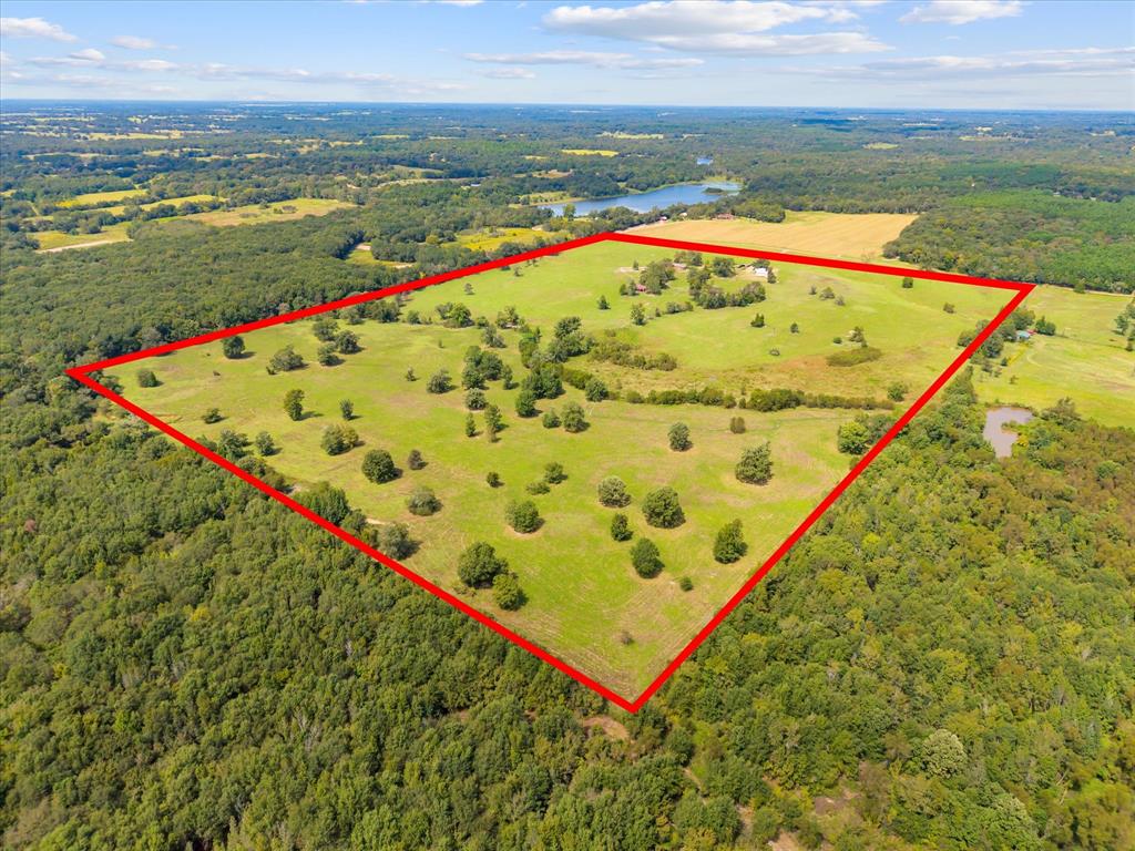 11990 County Road 3513