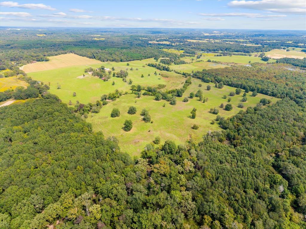 11990 County Road 3513