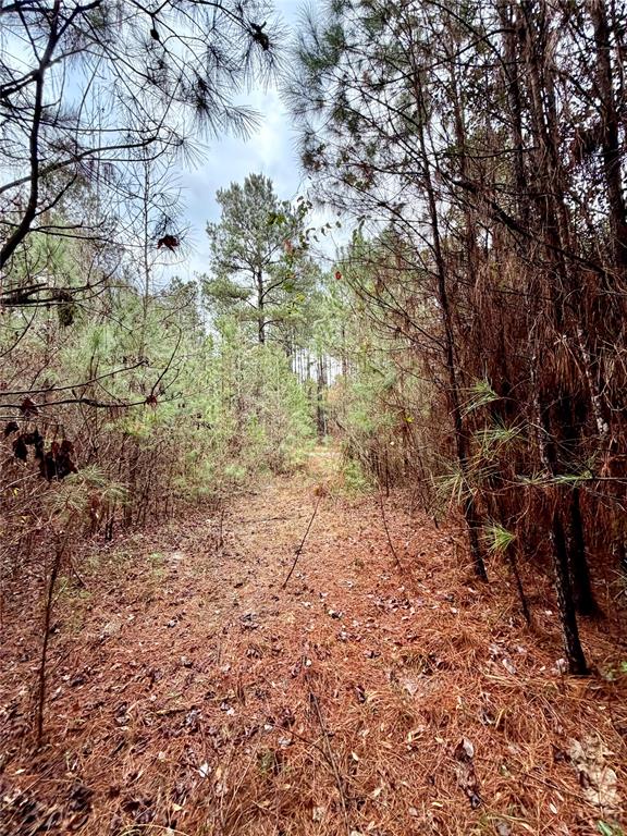 Hicks Road Estates - Land