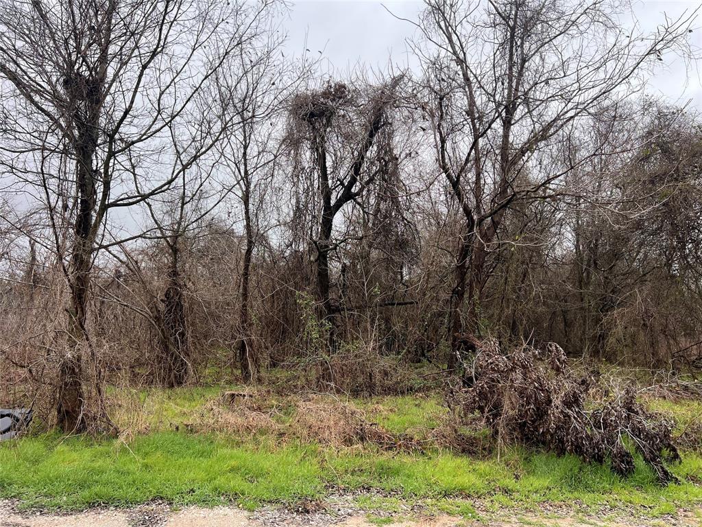 MCGEES KATY SHOP HTS - Land