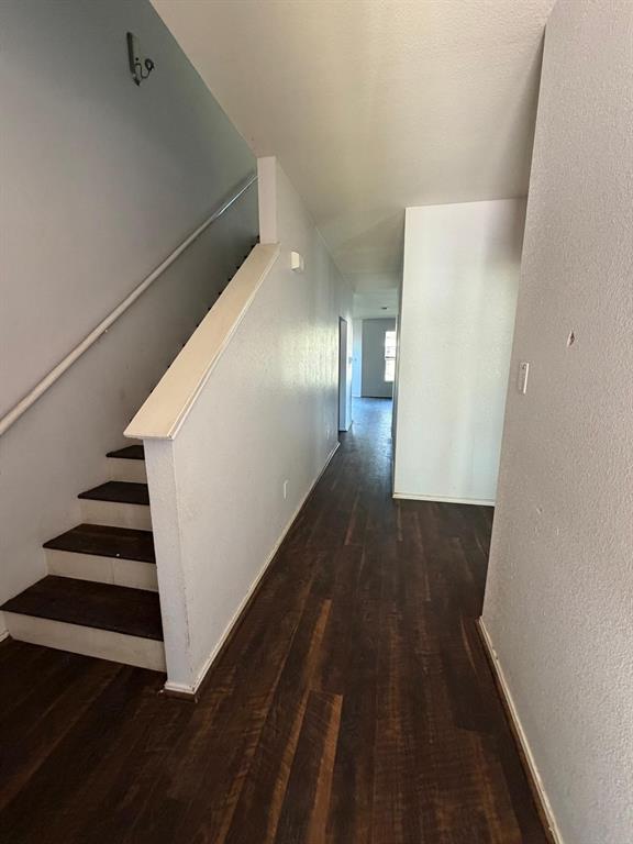 Palmilla Springs - Residential