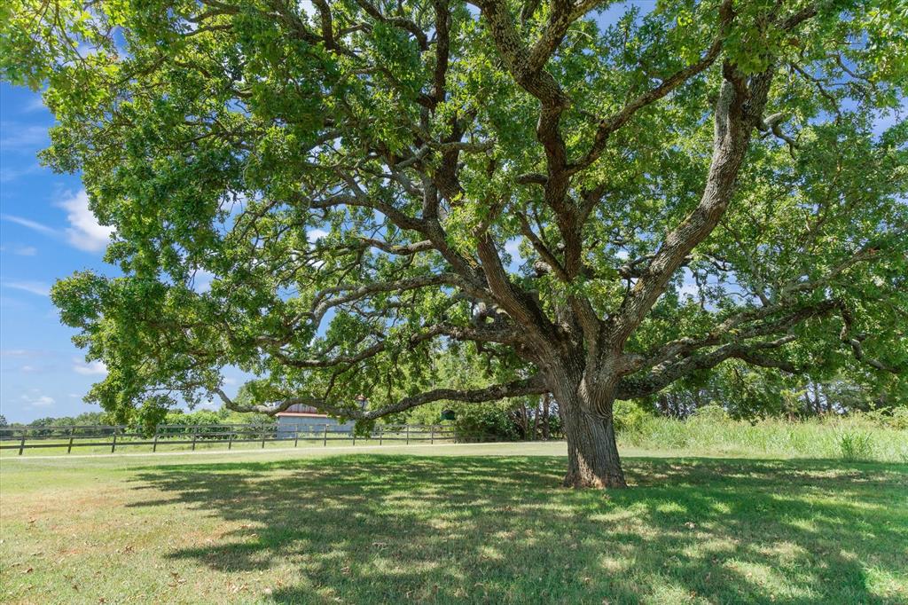 600 Vz County Road 3528