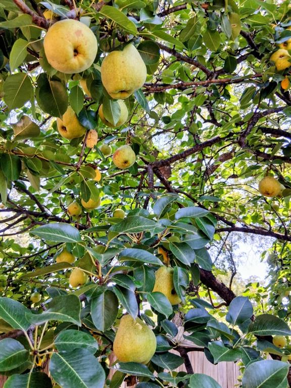 MOUNINGSIDE ADDTION - Residential