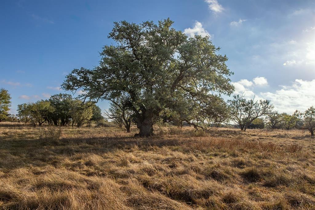 Appleton F G - Residential