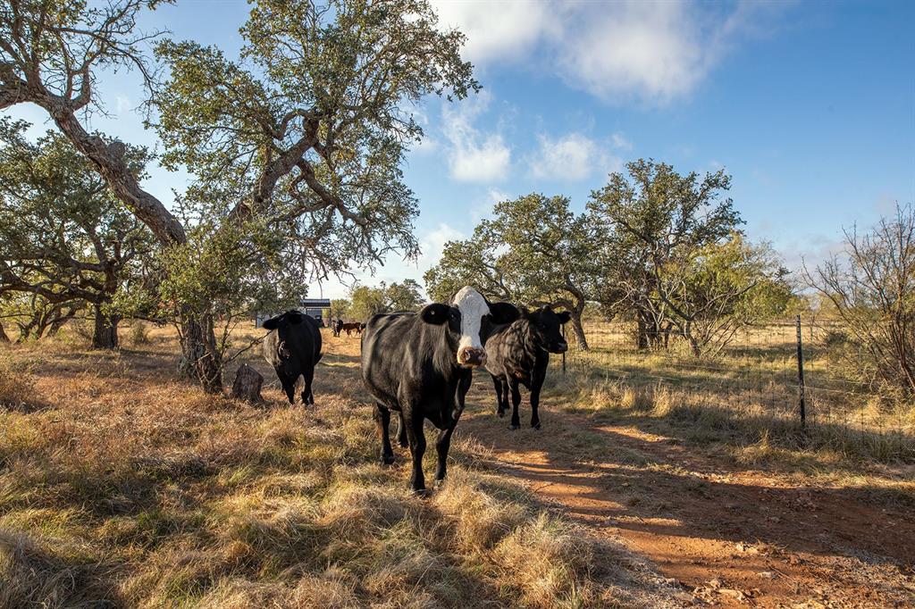 Appleton F G - Residential