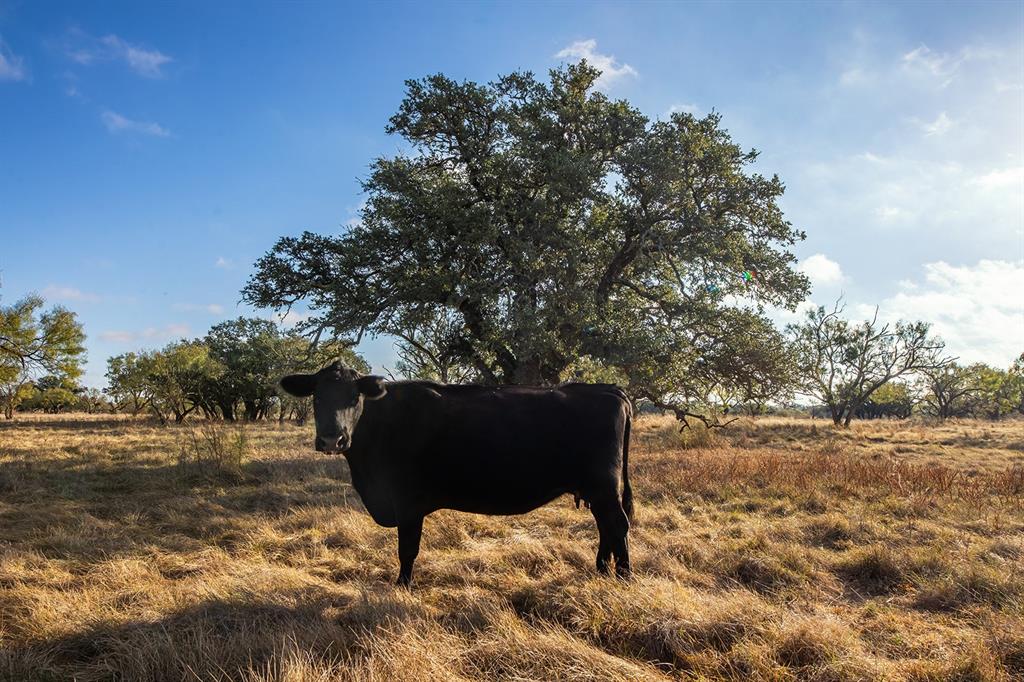 Appleton F G - Residential