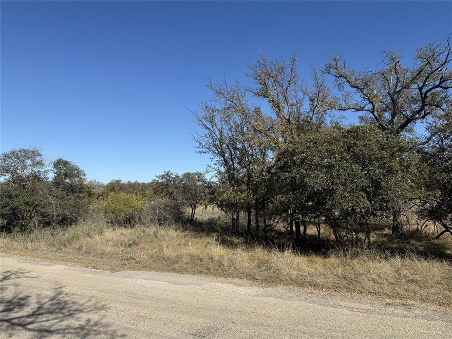 Enjoy over an acre in Harbor Point minutes from the water of lake Brownwood. Build your dream lake house or bring in your RV for the weekends. HOA includes multiple parks, fishing dock and community boat ramp, community pool, restaurants, and activities. Reach out to listing agent with any questions and bring all offers!