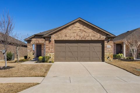 Photo of 1231 Freedom Lane, Little Elm, TX 76227 (MLS # 21187549)