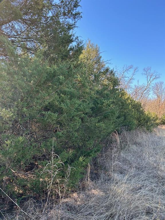 Martin-William A-G0765 - Land