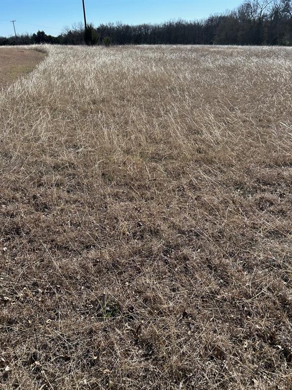 Martin-William A-G0765 - Land