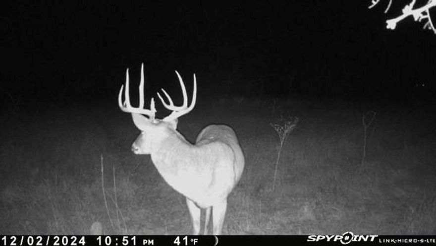 Enjoy a combined 24.6 acres on County Road 343 outside of Dublin featuring a covered RV setup, making this property ready to
enjoy from day one. The tract includes two RV electrical hookups, a 110 outlet, and flood lighting, giving you a
functional setup whether you’re staying in your RV for the weekend or using it while building a future home. The land
offers wide Texas views that stretch for miles, creating beautiful sunsets across the horizon and providing multiple
potential homesites for your future plans. It’s also common to see deer crossing through the property, making it easy
to spend evenings sitting outside and watching wildlife move through the landscape. The property is lightly restricted,
helping preserve the surrounding area while still allowing flexibility in how you use the land. Spring is right around the
corner and the wildflowers that make this region so well known are expected to return soon, bringing color back across
the rolling Texas countryside. Conveniently located about 20 minutes from Stephenville, roughly 10–15 minutes from
Lake Proctor, and about 45 minutes from Brownwood, the property offers easy access to nearby towns while still giving
you the space and scenery that make country acreage so desirable. Whether you’re looking for a weekend retreat, a
place to stay while building, or land to invest in, this tract offers a lot of opportunity.