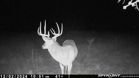 TBD 1 CR 343 Road Dublin TX 76446