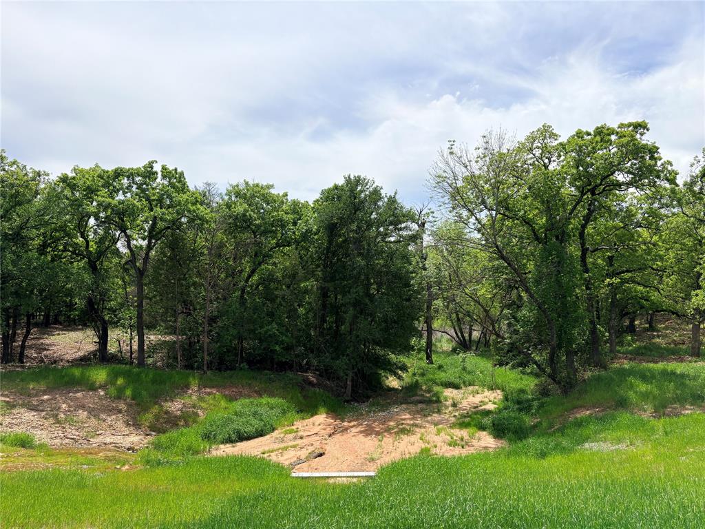 135 Turtle Back Ridge