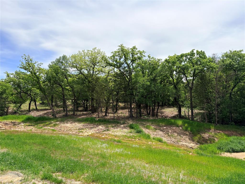 135 Turtle Back Ridge