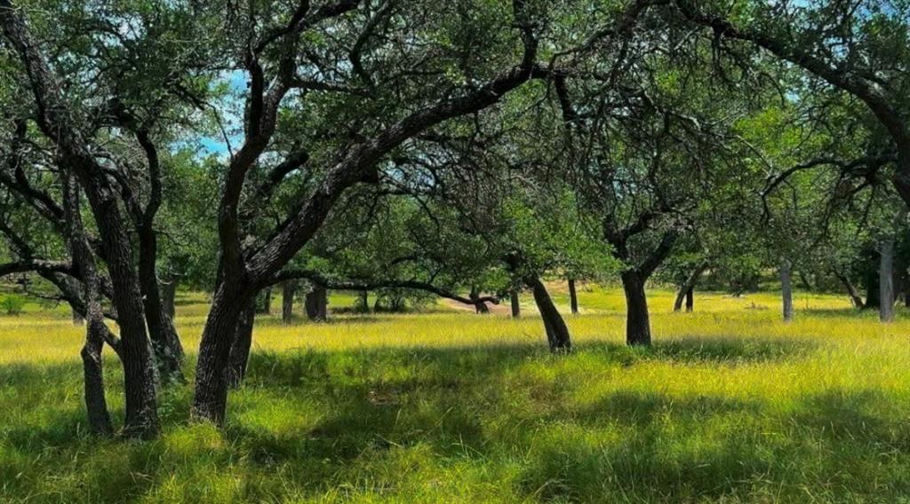 Lot 26 Swiss Ranch Rd
