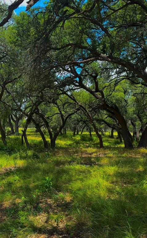 Lot 26 Swiss Ranch Rd