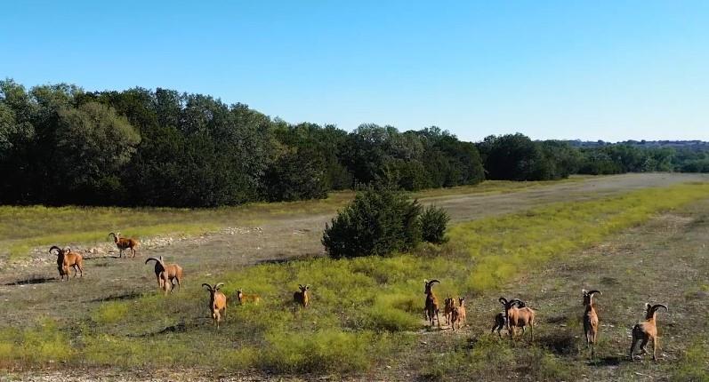 Rock Ridge Ranch - Farm