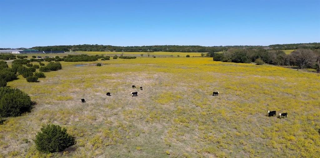 Rock Ridge Ranch - Farm