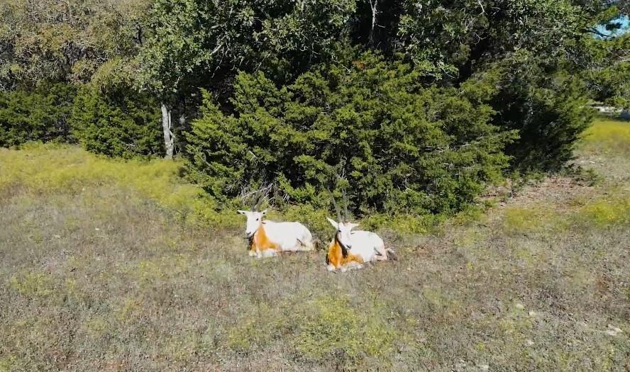 Rock Ridge Ranch - Farm