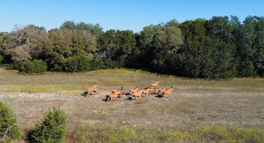 Rock Ridge Ranch - Farm